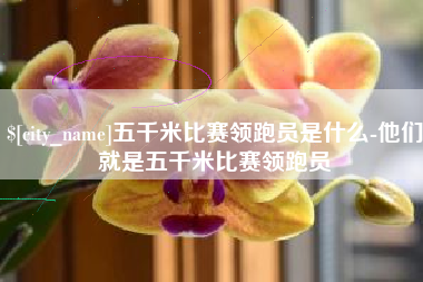 石河子五千米比赛领跑员是什么-他们就是五千米比赛领跑员