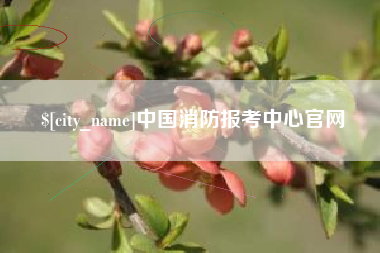 石河子中国消防报考中心官网