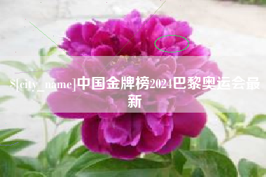石河子中国金牌榜2024巴黎奥运会最新