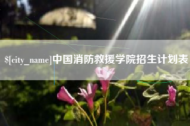 石河子中国消防救援学院招生计划表