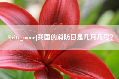 石河子我国的消防日是几月几号？