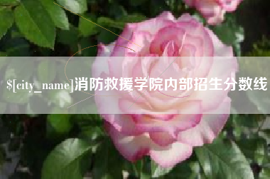 石河子消防救援学院内部招生分数线