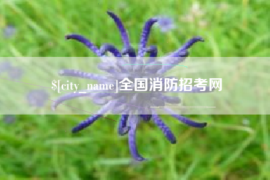 石河子全国消防招考网
