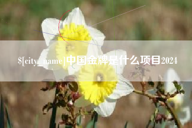 石河子中国金牌是什么项目2024