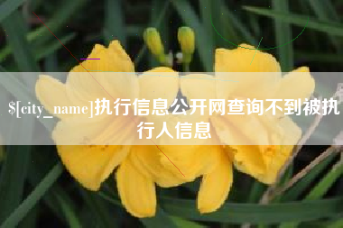石河子执行信息公开网查询不到被执行人信息