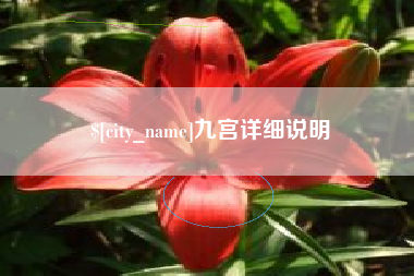 石河子九宫详细说明