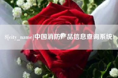 石河子中国消防产品信息查询系统1