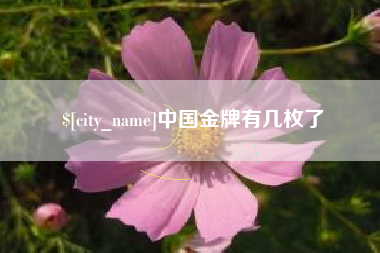 石河子中国金牌有几枚了
