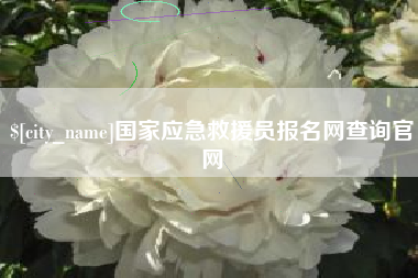 石河子国家应急救援员报名网查询官网