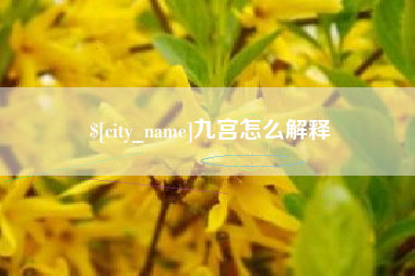 石河子九宫怎么解释