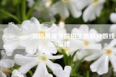 石河子消防救援学院招生录取分数线2020福建