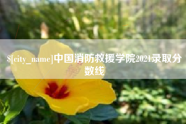 石河子中国消防救援学院2021录取分数线