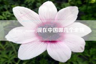 石河子现在中国哪几个金牌