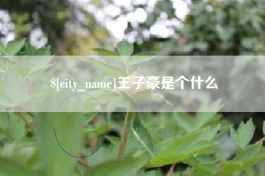 石河子王子豪是个什么