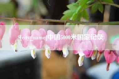 石河子中国5000米国家记录