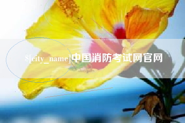 石河子中国消防考试网官网