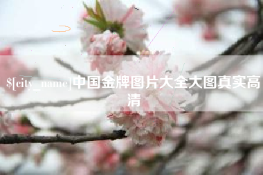 石河子中国金牌图片大全大图真实高清