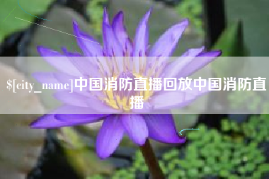 石河子中国消防直播回放中国消防直播
