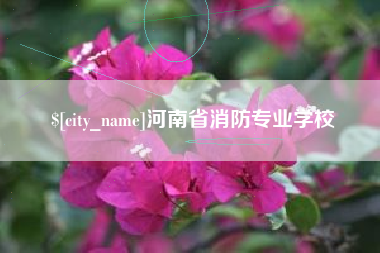 石河子河南省消防专业学校
