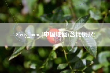 石河子中国地图(含比例尺)