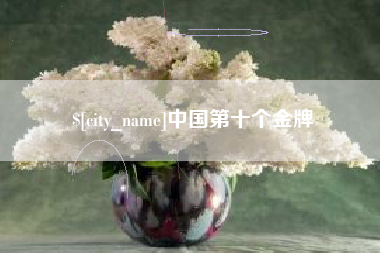 石河子中国第十个金牌