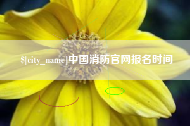 石河子中国消防官网报名时间