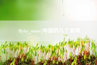 石河子中国的几个金牌