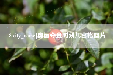 石河子奥运夺金时刻九宫格图片