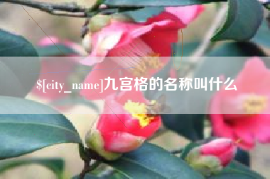 石河子九宫格的名称叫什么