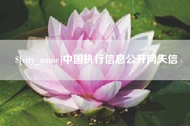 石河子中国执行信息公开网失信