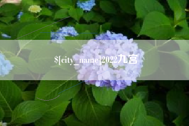 石河子2022九宫