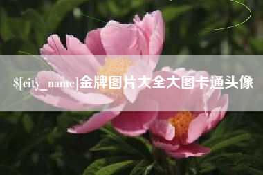 石河子金牌图片大全大图卡通头像