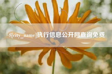 石河子执行信息公开网查询免费