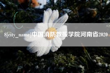 石河子中国消防救援学院河南省2020